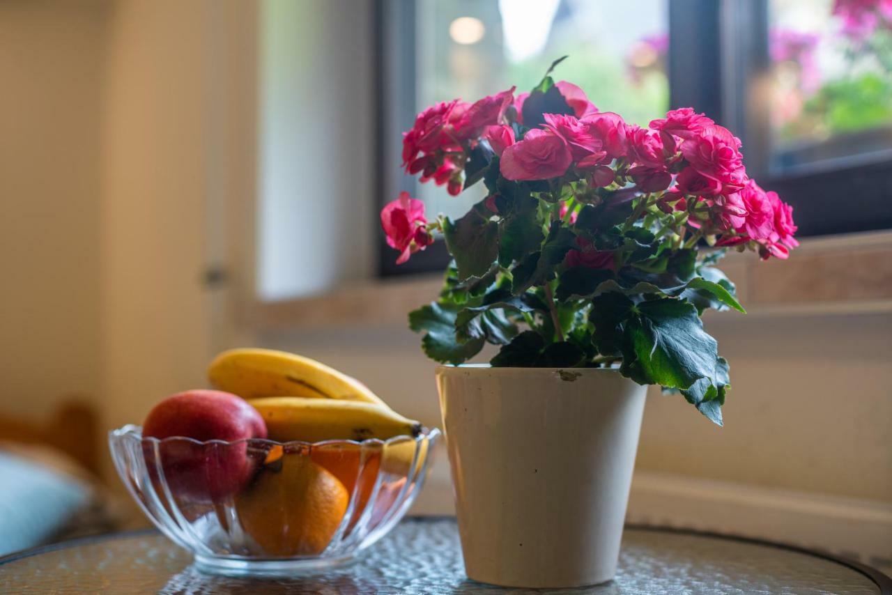 Apartament Ewa 자코파네 외부 사진