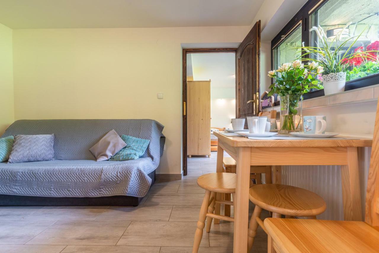 Apartament Ewa 자코파네 외부 사진